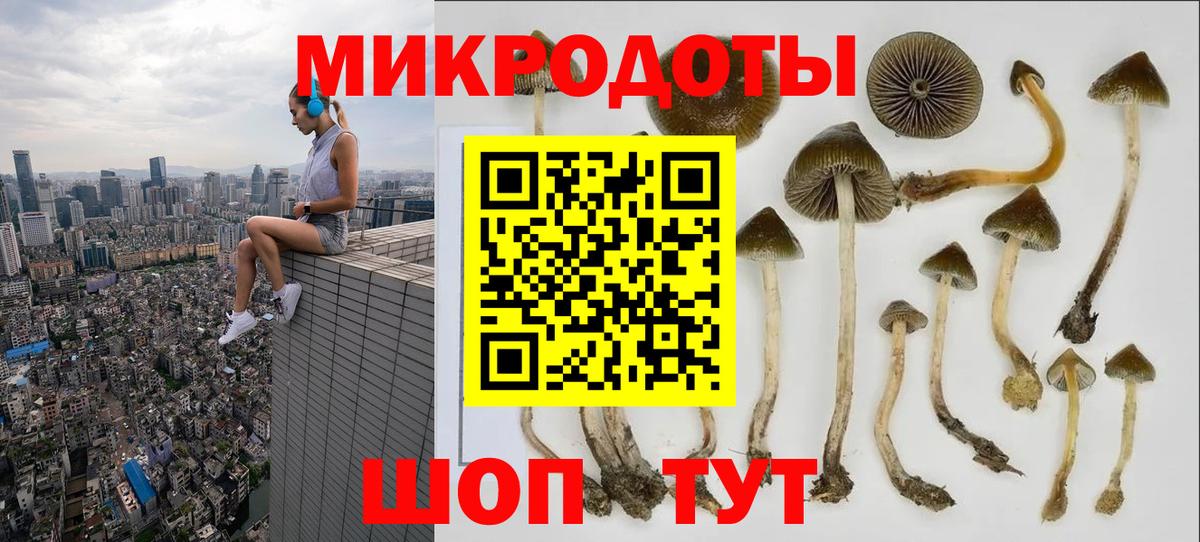 МЕФ Алейск