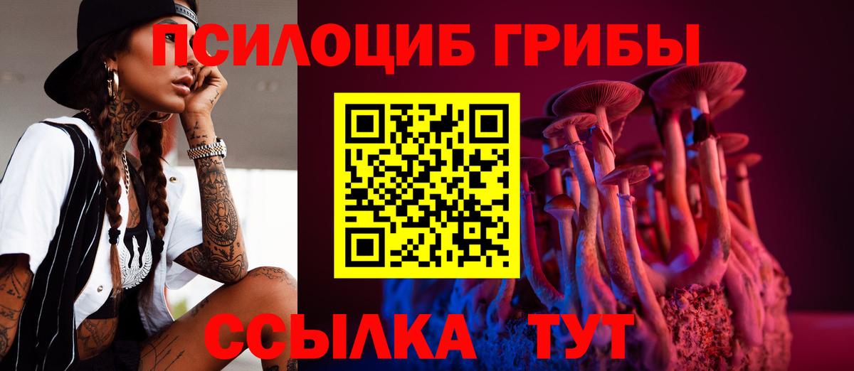 Галлюциногенные грибы GOLDEN TEACHER  Вход с VPN  Алейск 